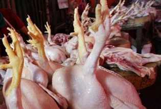 Masyarakat Bengkalis Mengeluh Harga Ayam Potong Naik Drastis