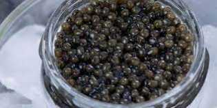 6 Manfaat Kaviar dan Alasan Harganya Mahal