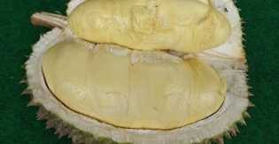 Salah Kaprah Santan dan Durian yang Sering Dianggap Gudang Kolesterol