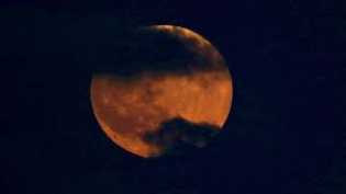 Gerhana Bulan Total 26 Mei, Ini Waktu dan Tempat Terbaik untuk Mengamati