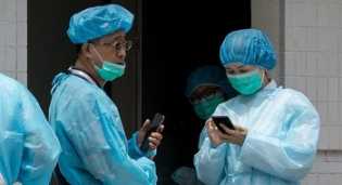Kasus Flu Babi Afrika, Hong Kong Mulai Musnahkan 6 Ribu Babi