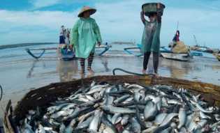 Tak Ada Ruang Kapal Asing Menangkap Ikan di Perairan Indonesia