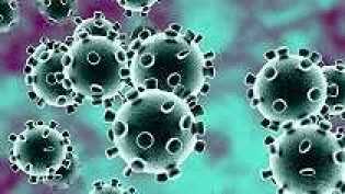 Korban Meninggal Virus Korona Terus Bertambah Jadi 213 Orang, 9.692 Terinfeksi