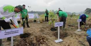 Ribuan Tanaman Produktif dan Pohon Pelindung Ditanam di Pekanbaru