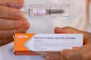 Ini Efek yang Langsung Dirasakan Usai Disuntik Vaksin Covid-19