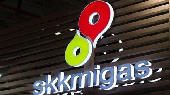 SKK Migas dan Kontraktor Sepakati 248 Inisiatif Optimalisasi Biaya di 2022