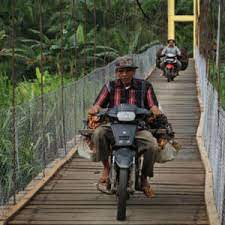 Harga TBS Sawit Jambi Periode 3-9 Maret 2023 Naik Rp 132,72/Kg, Cek Harganya