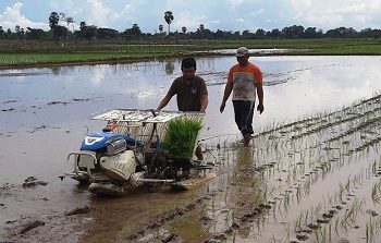 Petani Bakal Bisa Sewa Traktor Pakai Aplikasi Go-Jek Alsintan