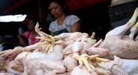 Riset Terbaru, Terungkap Cara Turunkan Kolesterol Daging Ayam