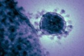 WHO Peringatkan Virus Misterius di China Berpotensi Menyebar