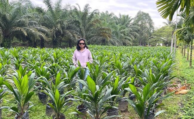 Lidwina, Srikandi Penangkar Sawit Terbesar di Indonesia
