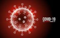 Sebaran 106.336 Kasus Positif Corona di 34 Provinsi