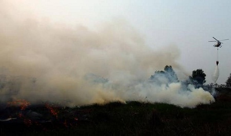 Riau Tetapkan Siaga Darurat Kabut Asap