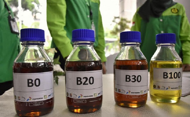 HIP Biodiesel Januari 2023 Ditetapkan Rp 11.520/Liter