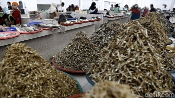 Kepala Bappenas Minta RI Segera Punya Pasar Ikan Internasional