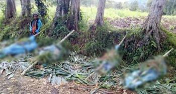 Ngerinya Pembantaian di PNG, Korban Ditembak, Ditikam Lalu Dimutilasi
