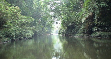 Bukit Tigapuluh, Wisata Riau Miliki Keanekaragaman Lengkap