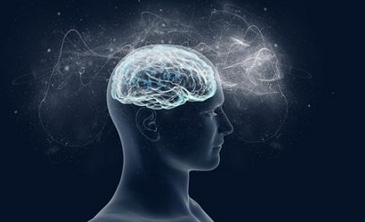 Ilmuan Lomba Awetkan Otak Manusia yang Mati Bisa “Hidup” Kembali