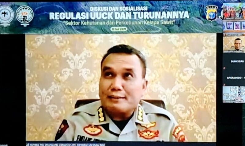 Kebun Sawit Dalam Kawasan Hutan, Prinsip Ultimum Remedium Satu-Satunya Jalan