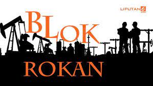 Resmi Kelola Blok Rokan, Pertamina Bakal Bor 661 Sumur Minyak Baru