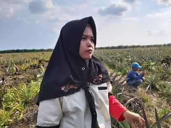 Jikalahari dan Walhi Desak Gubernur Riau Cabut Sejumlah Pasal di Perda RTRW