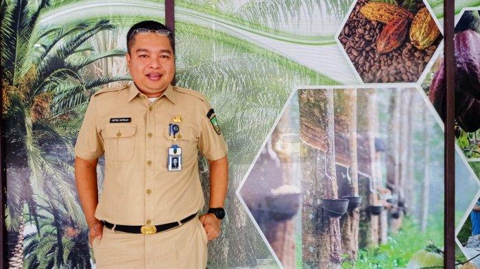 Harga TBS Sawit Riau Turun Tipis Pekan Ini Periode 20-26 April 2022 di Semua Kelompok Umur