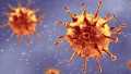 Ilmuwan Inggris Klaim Temukan Titik Kelemahan Virus Corona