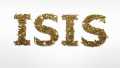 WNI Eks ISIS Tak Dipulangkan? Ini 5 Potensi Ancaman yang Patut Diwaspadai
