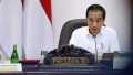Jokowi Perintahkan Sektor Pertanian-Perikanan 'Tancap Gas'